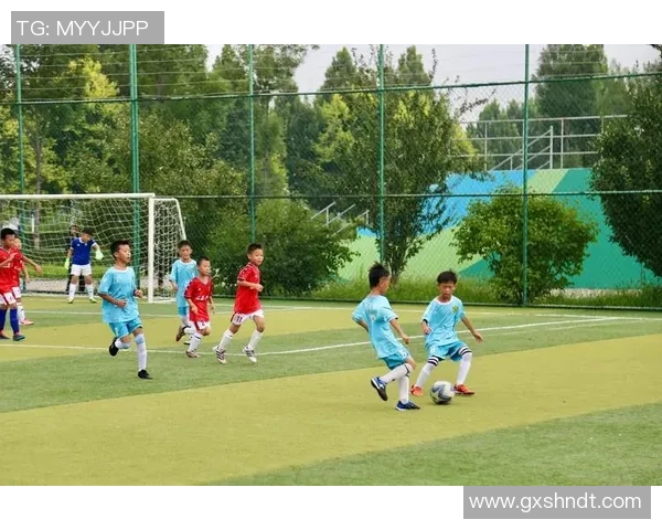 足球明星的下一代:他们的儿子们在绿茵场上的未来与梦想